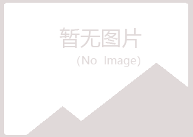 龙山区夏槐咨询有限公司